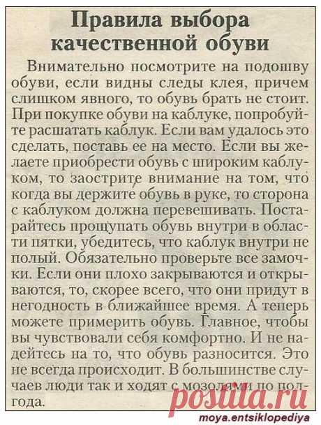 Правила выбора качественной обуви