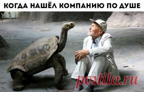 Мой Мир@Mail.Ru