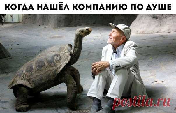 Мой Мир@Mail.Ru