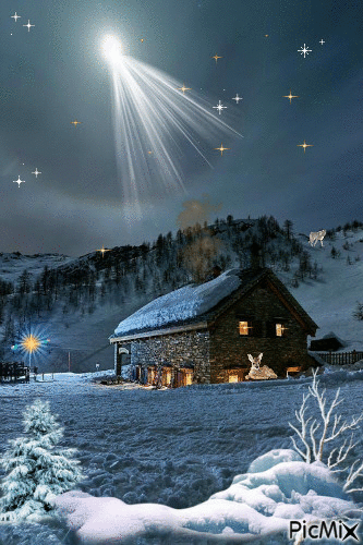 Google+