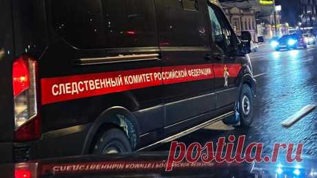 В Петербурге проверят информацию об избиении первоклассников учителем