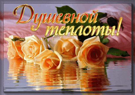 ТЕПЛОГО ВЕЧЕРА