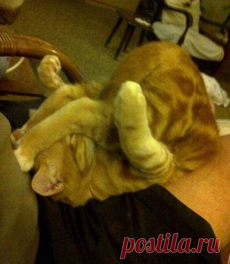 Юмор (из интернета) / Болталка / Юмор