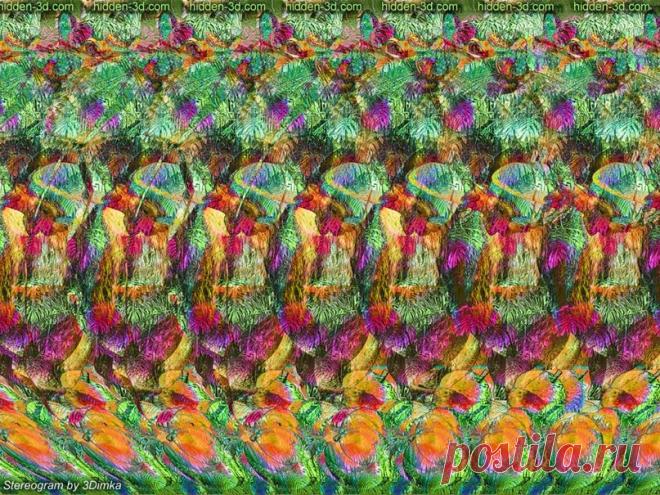 Как работает тренировка глаз при близорукости, хорошее зрение за 5 минут!