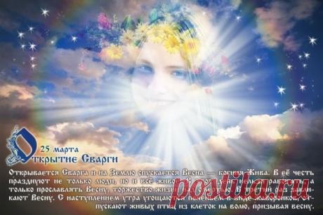 Наш Путь ЭВОЛЮЦИИ - Мы есть! Мы живем! Мы созидаем! – НОВАЯ ЗЕМЛЯ.РАССВЕТ., пользователь АЛЁНА ПОДХАЛЮЗИНА | Группы Мой Мир