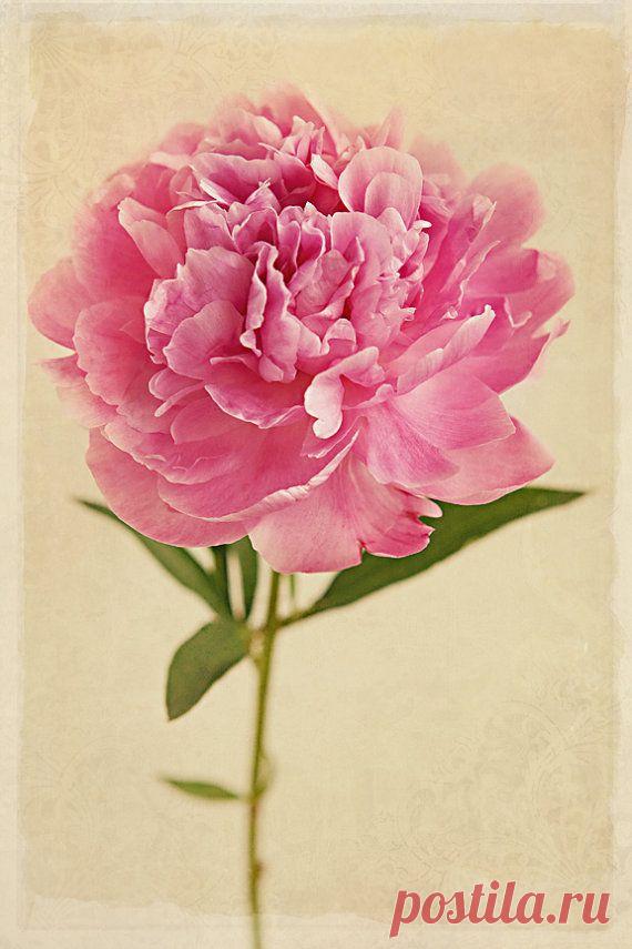 Найдено на сайте etsy.com.