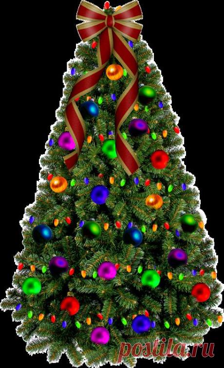 0_6da6a_204add01_XL (489×800)