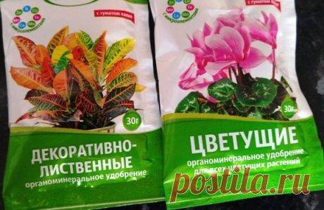 Чем удобряю Спатифиллум, чтобы он цвёл и имел шикарные листья | Klumba-plus | Яндекс Дзен