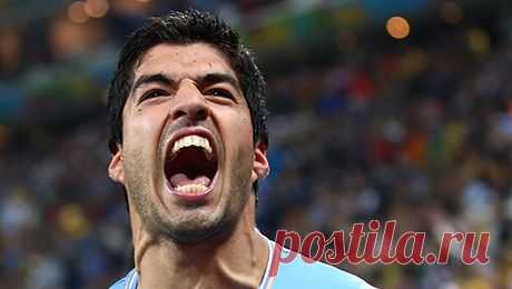 Чемпионат мира по футболу 2014 в Бразилии - Sports.ru