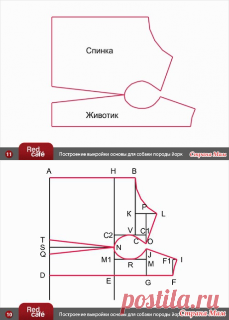 Построение индивидуальной выкройки для собаки (вариант № 2) - Гардероб для наших любимых питомцев (собак, кошек) - Страна Мам