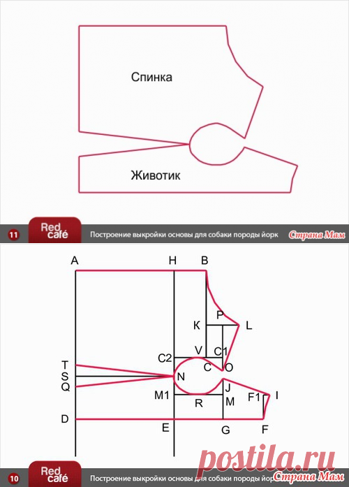 Построение индивидуальной выкройки для собаки (вариант № 2) - Гардероб для наших любимых питомцев (собак, кошек) - Страна Мам