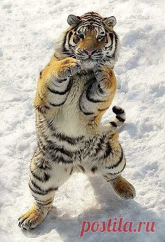 Полина Епифанцева – Google+