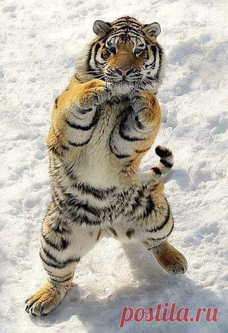 Полина Епифанцева – Google+