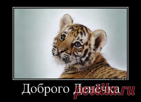 Доброго денёчка
