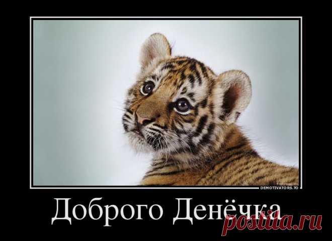 Доброго денёчка