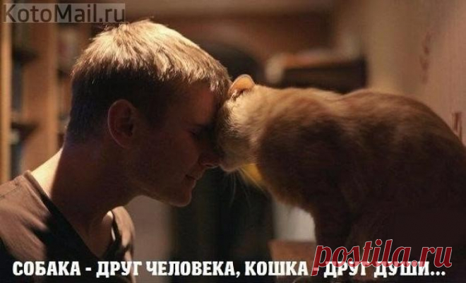 Друг души