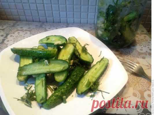 Малосольные огурчики «Моментальные» сухого посола — Домашняя кулинария