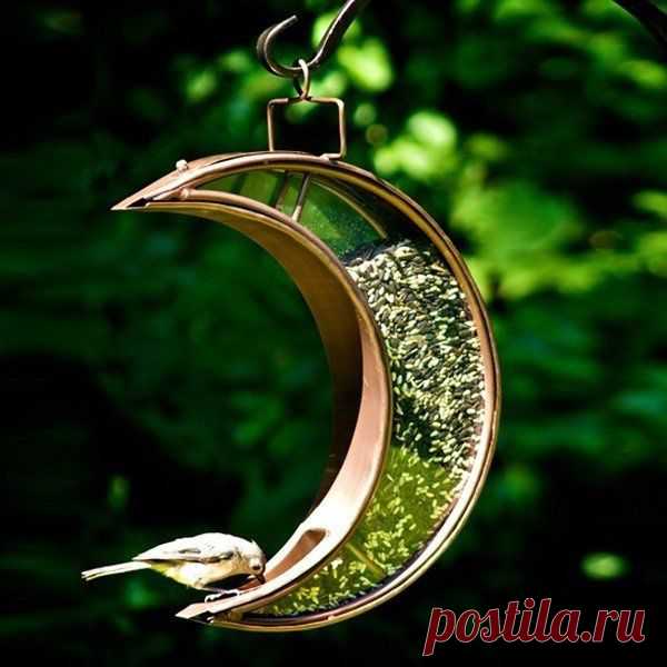 30 идей скворечников и кормушек для птиц