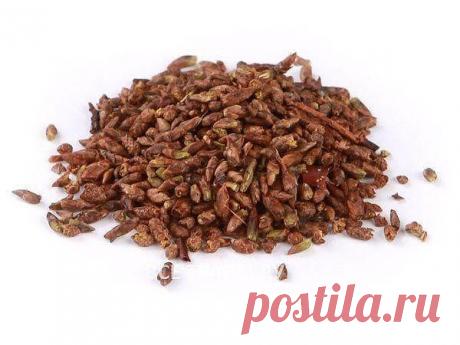 (5) Одноклассники