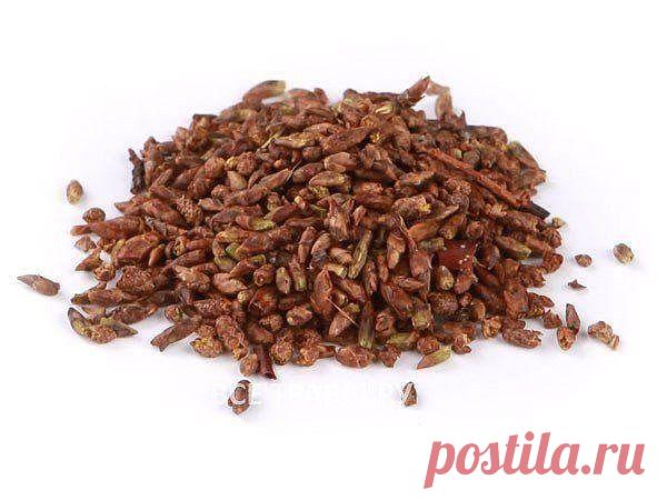 (5) Одноклассники