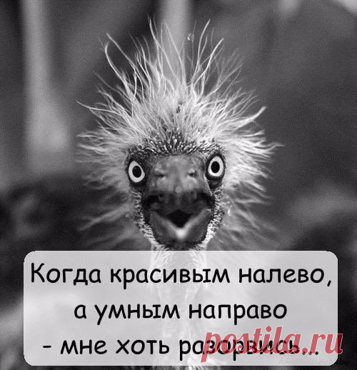 Капелька женского юмора
