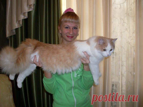 Голосуйте за меня на конкурсе - Радио Дача выбирает
главную кошку Ижевска! Друзья, на радио Дача стартовал конкурс "Главная кошка Ижевска". Фото своих любимцев выкладывайте на сайте кошкаижевска.рф!