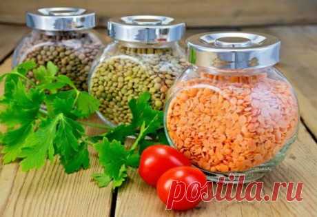 Чечевица польза и вред: рецепты приготовления и применения