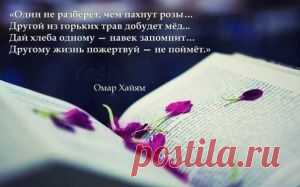 Я люблю тебя жизнь !-продолжение