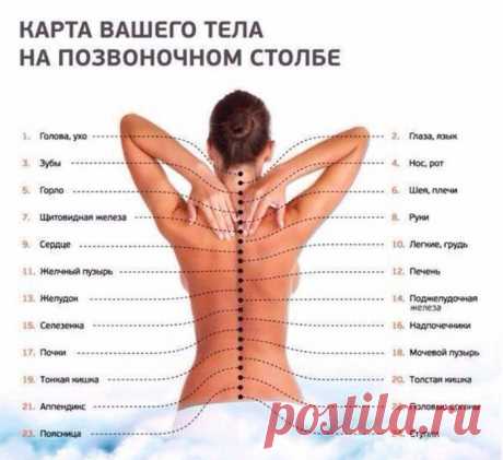 Карта Вашего тела на позвоночном столбе.