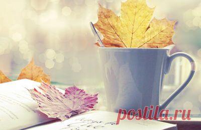 Как сохранить бодрость осенью | УСПЕХ с NEWAYS