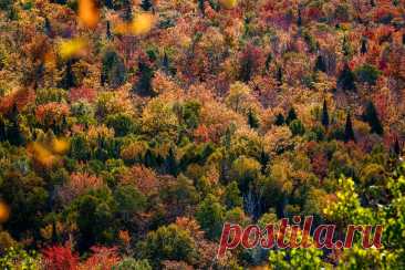 [Новая запись] 10-Day Roadtrip: Michigan’s Glorious Upper Peninsula Fall Colors - galinalyubushkina@gmail.com - Gmail