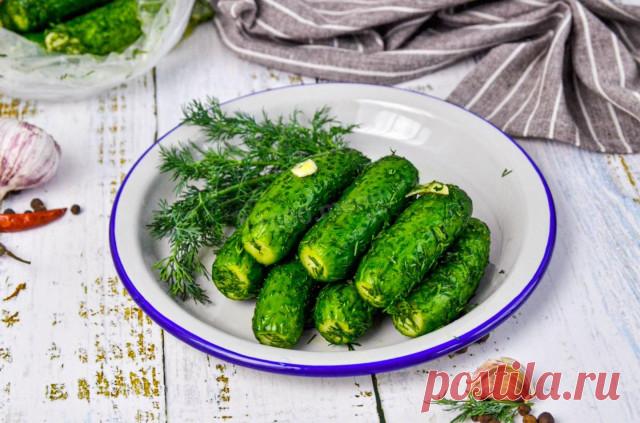 Огурцы малосольные в пакете с чесноком и укропом