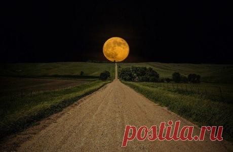 Лунная дорога