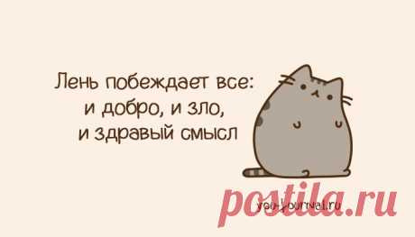 Лучшие анекдоты недели