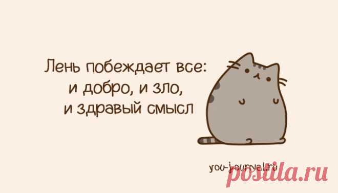 Лучшие анекдоты недели