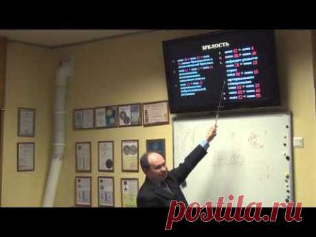 Синицкий - Бронхиальная астма - BioTrEM на каждый день (8/15)