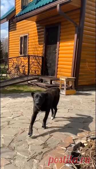 1 мая, с праздником!