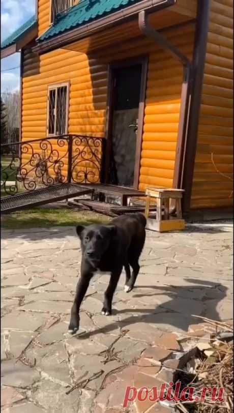 1 мая, с праздником!