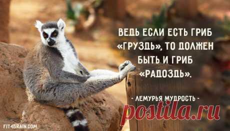 Весёлые картинки – Фитнес для мозга
