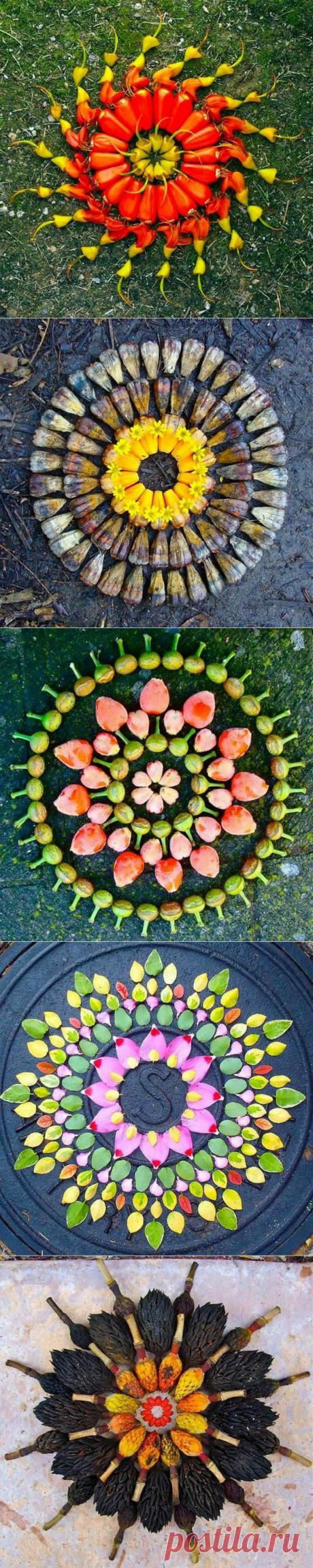 Цветочные мандалы / Я - суперпупер