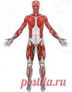 СУДОРОГИ И СПАЗМЫ МОЖНО УНЯТЬ