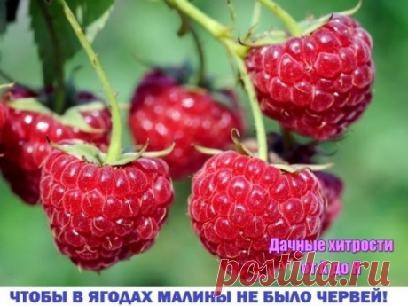 (1) Одноклассники