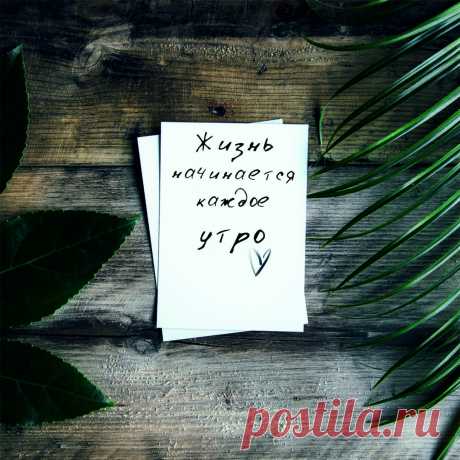 Иро4ка в Instagram: «"Жизнь начинается каждое утро." (c) Дж.Олстин #утродоброе #доброеутро #понедельник #хорошеенастроение #goodmorning #monday #goodmood…» 34 отметок «Нравится», 3 комментариев — Иро4ка (@woman_sk) в Instagram: «"Жизнь начинается каждое утро." (c) Дж.Олстин #утродоброе #доброеутро #понедельник…»