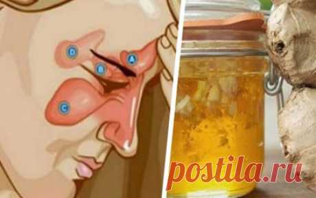 Эффективное натуральное средство против синусита всего из 2 интрегдиентов! — Народная Воля