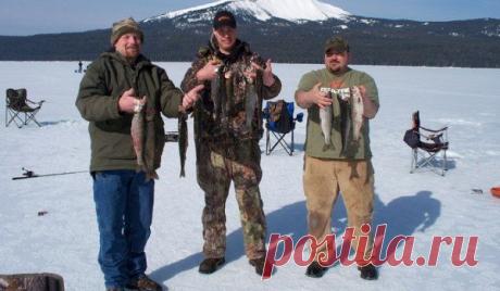 Зимняя рыбалка становится комфортной только с хорошим снаряжением. / Богатая добыча