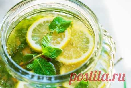 Мохито с мелиссой на зиму — Домашняя кулинария