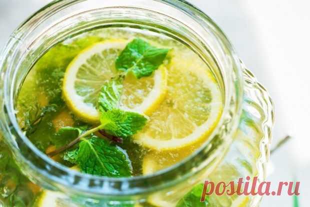 Мохито с мелиссой на зиму — Домашняя кулинария
