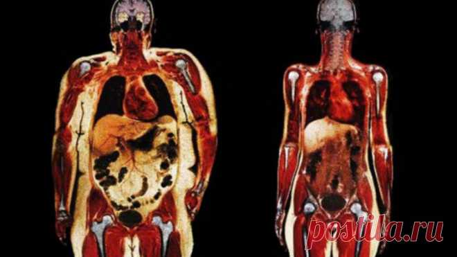 Напиток из огурцов