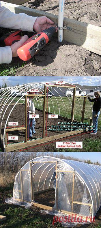 Теплица своими руками