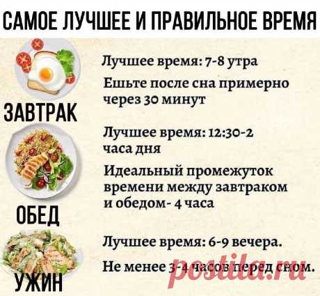 БИОЛОГИЧЕСКИЕ ЧАСЫ